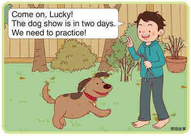 Getting Ready for the Dog Show绘本故事第3页