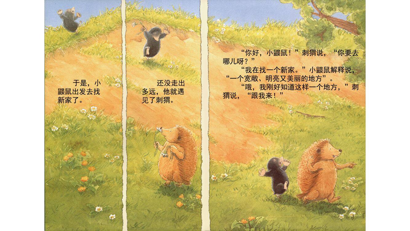 小鼹鼠找新家绘本故事第4页