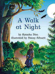 A walk at Night