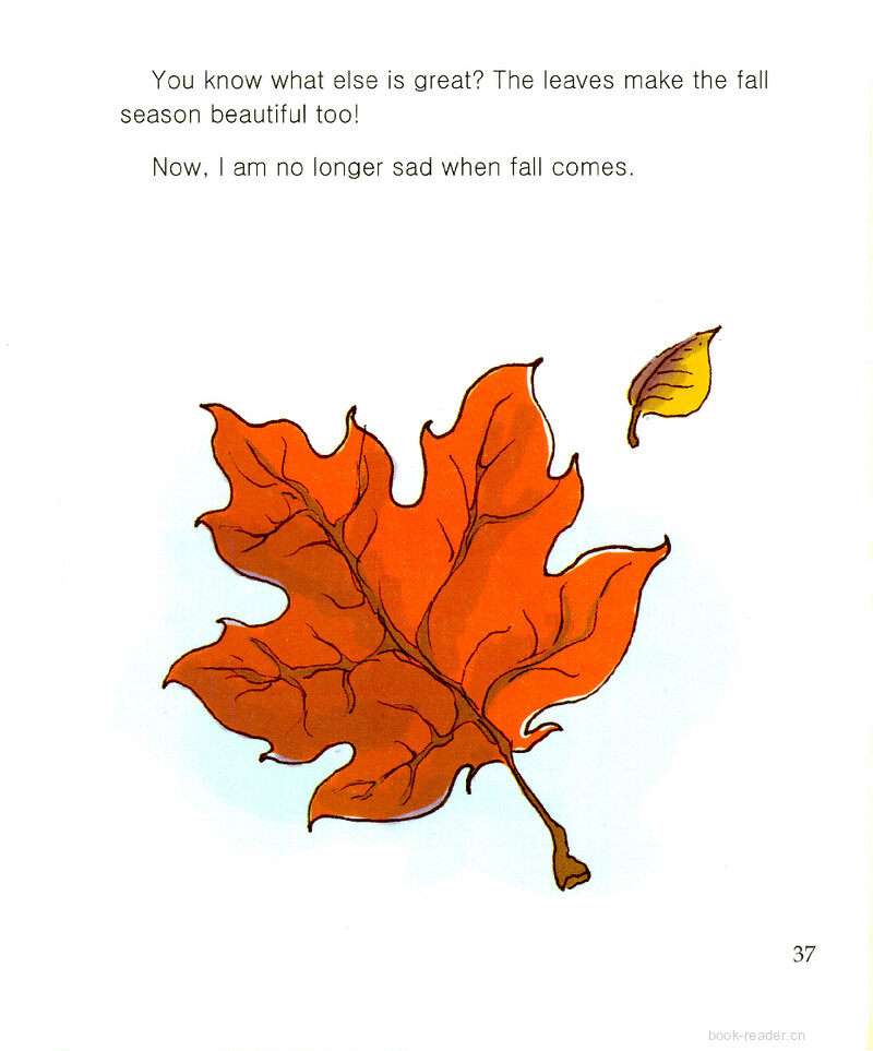 Falling Leaves, Rising Trees绘本故事第3页
