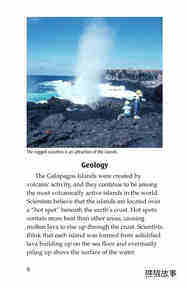Galapagos Wonder绘本故事第5页