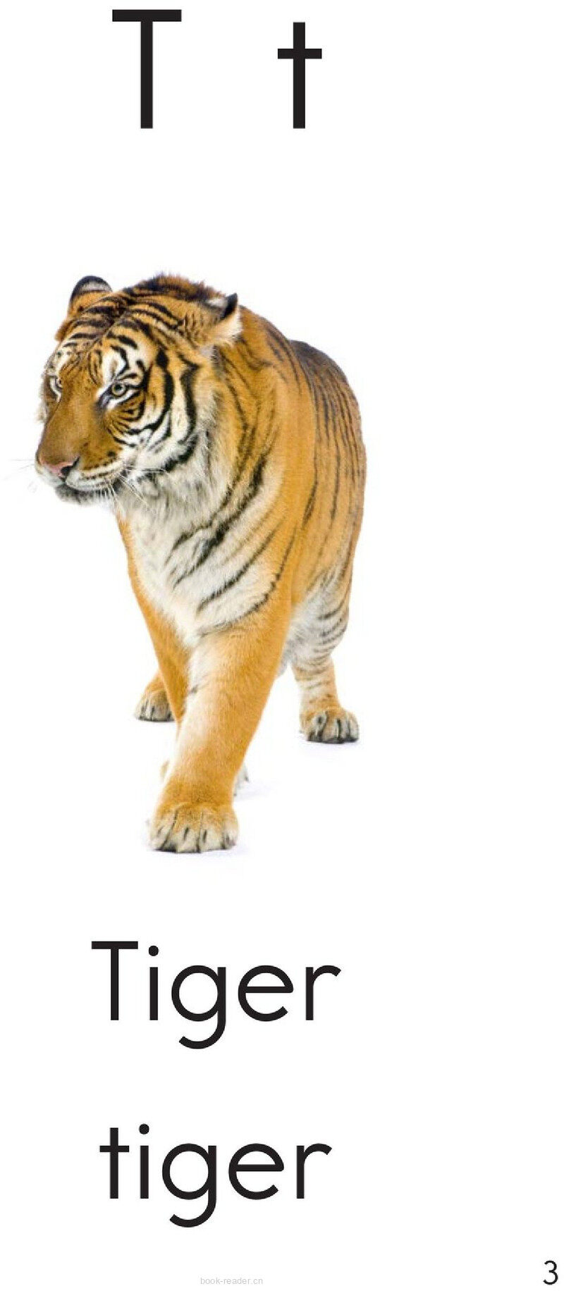 Letter T绘本故事第3页