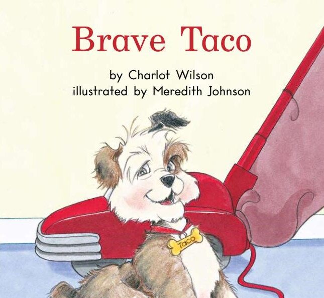 Brave taco绘本故事第2页