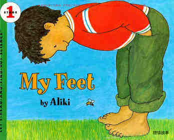 My Feet