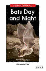 Bats Day and Night