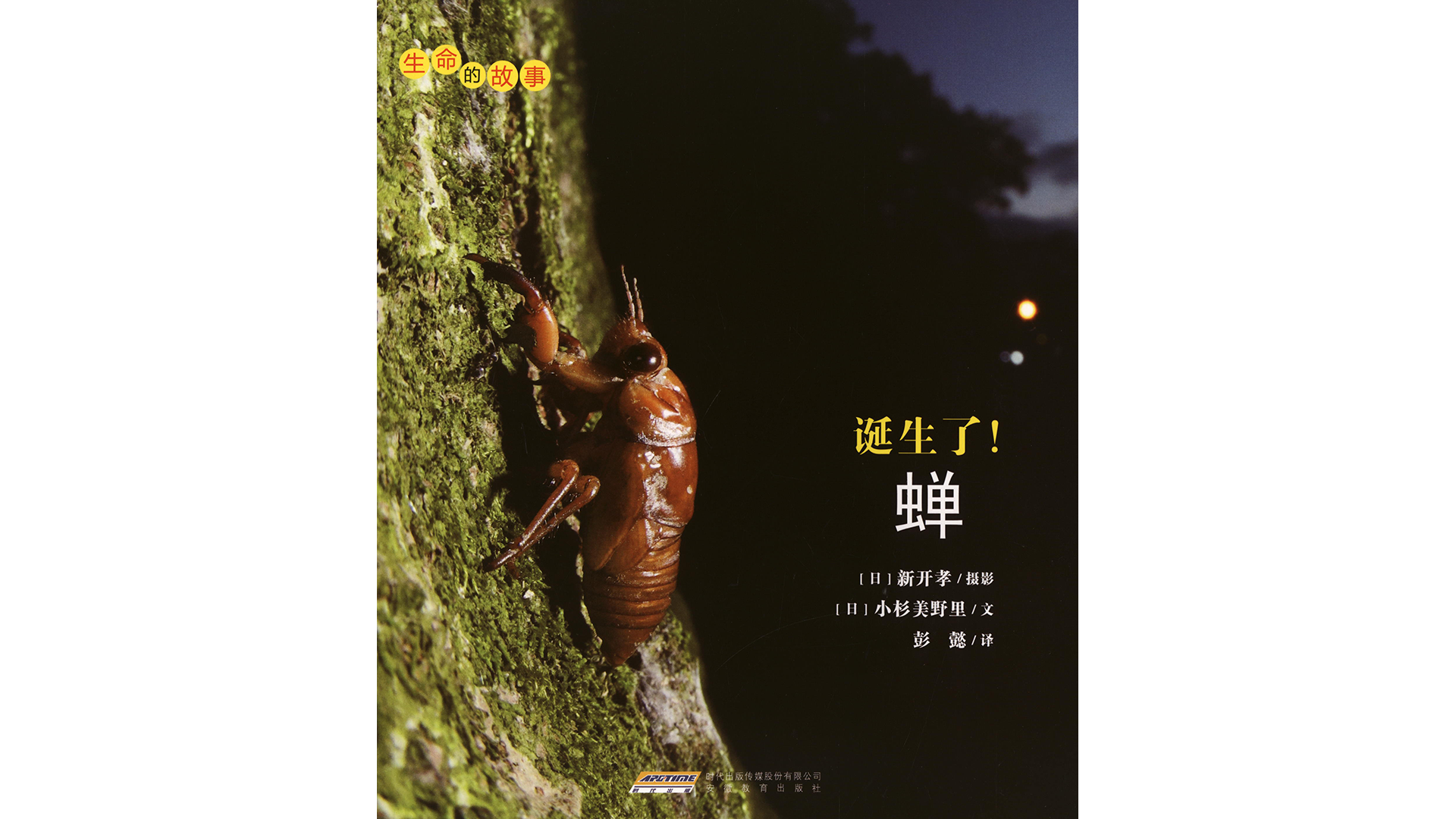 诞生了！蝉绘本故事第2页