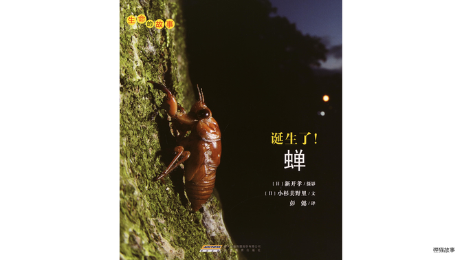 诞生了！蝉绘本故事第2页