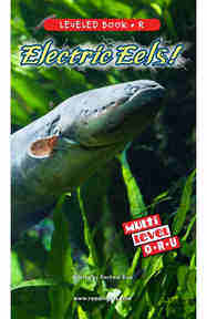 Electric Eels!
