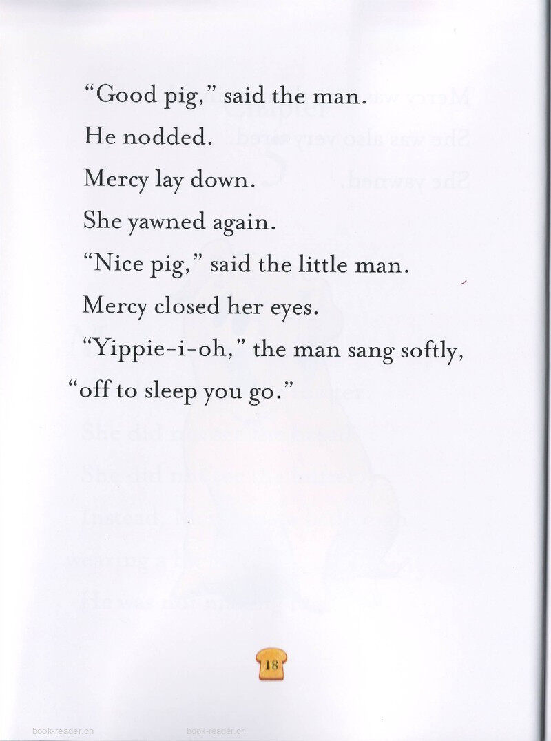 3-05 Mercy Watson Fights Crime绘本故事第4页