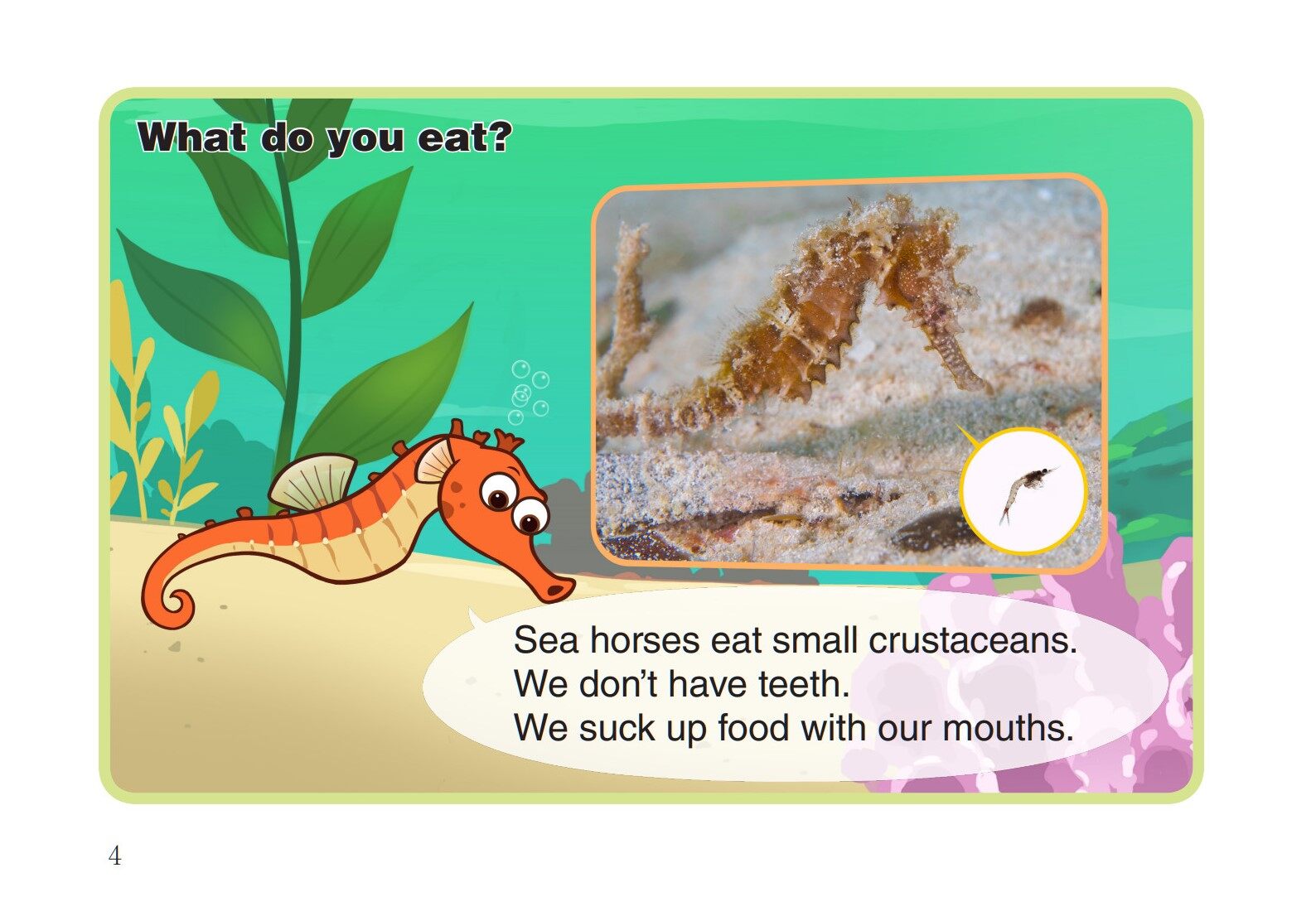 Sea Horse绘本故事第5页