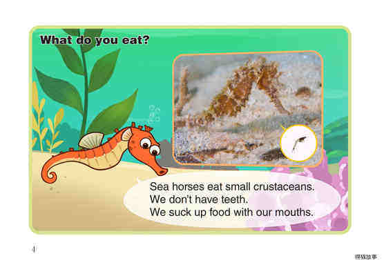 Sea Horse绘本故事第5页