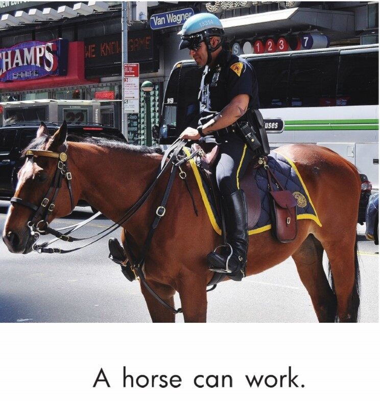 Animals Work and Play绘本故事第3页