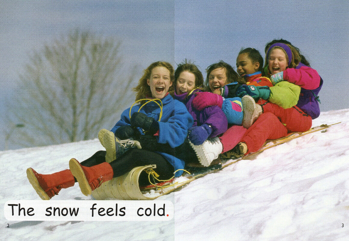 what feels cold绘本故事第3页