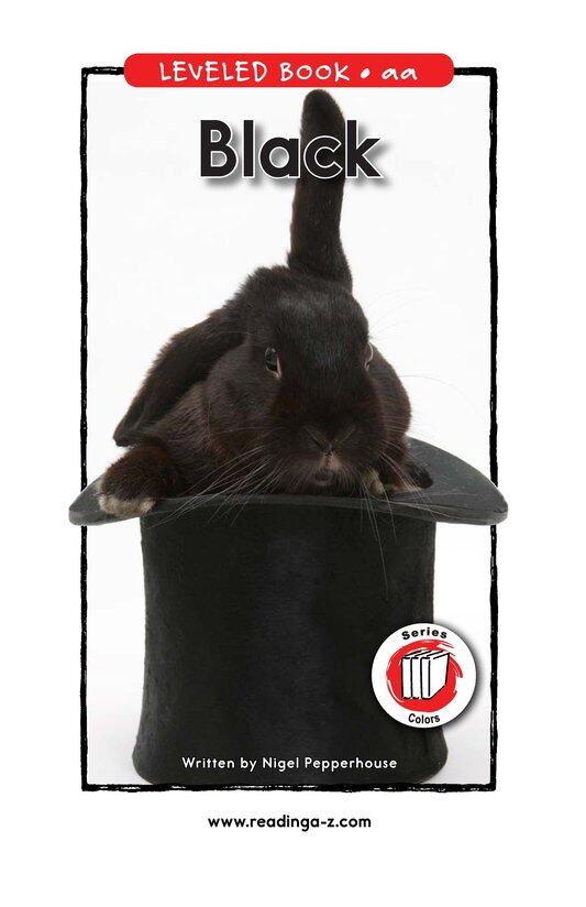 Black绘本故事第2页