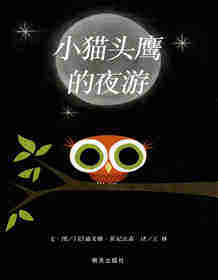 小猫头鹰的夜游