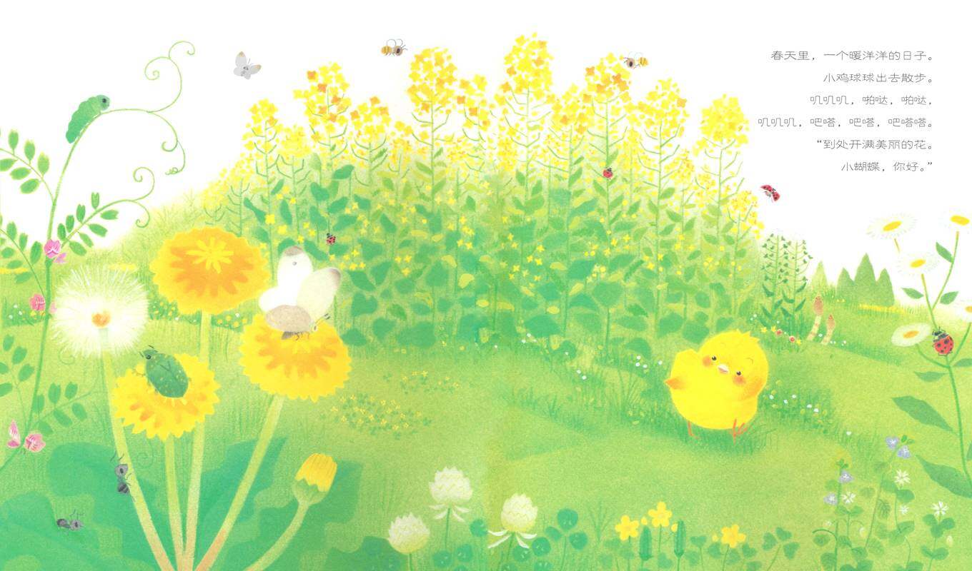 小鸡球球和向日葵绘本故事第2页