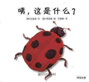 咦，这是什么