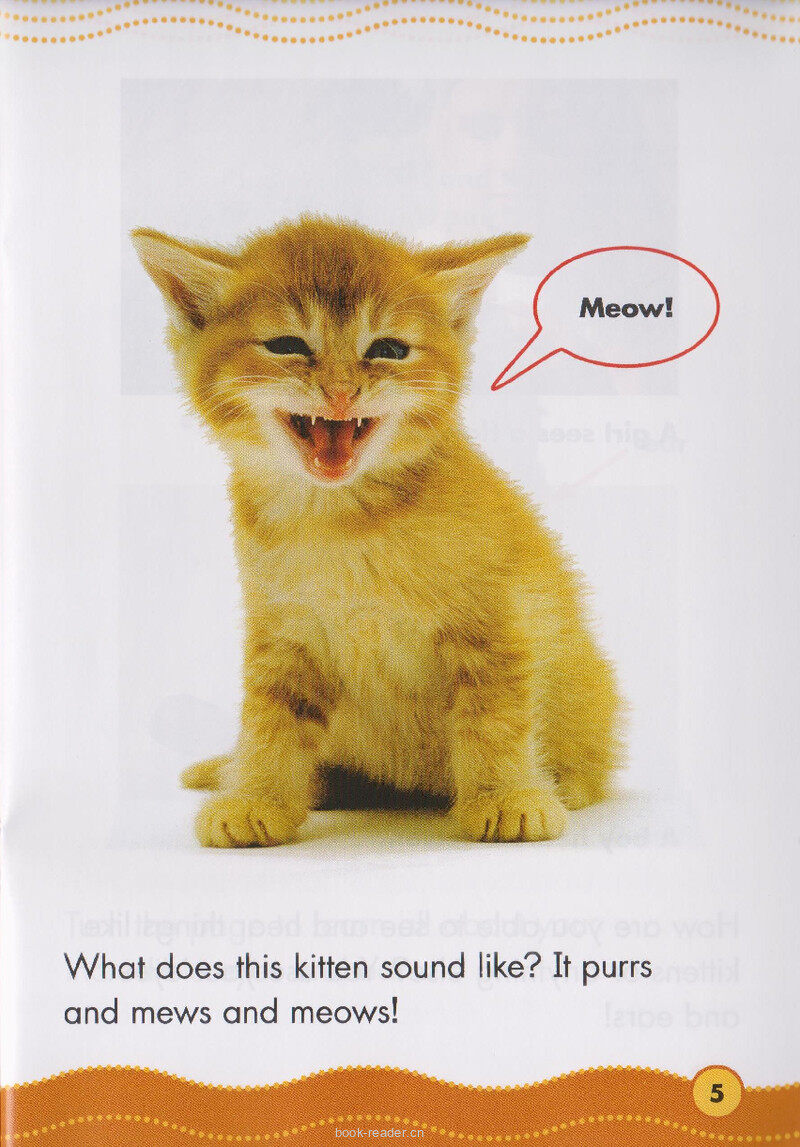 Your Eyes and Ears绘本故事第4页