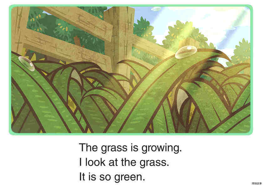Spring Is Beginning绘本故事第5页