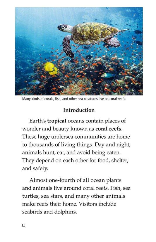 Coral Reefs绘本故事第3页