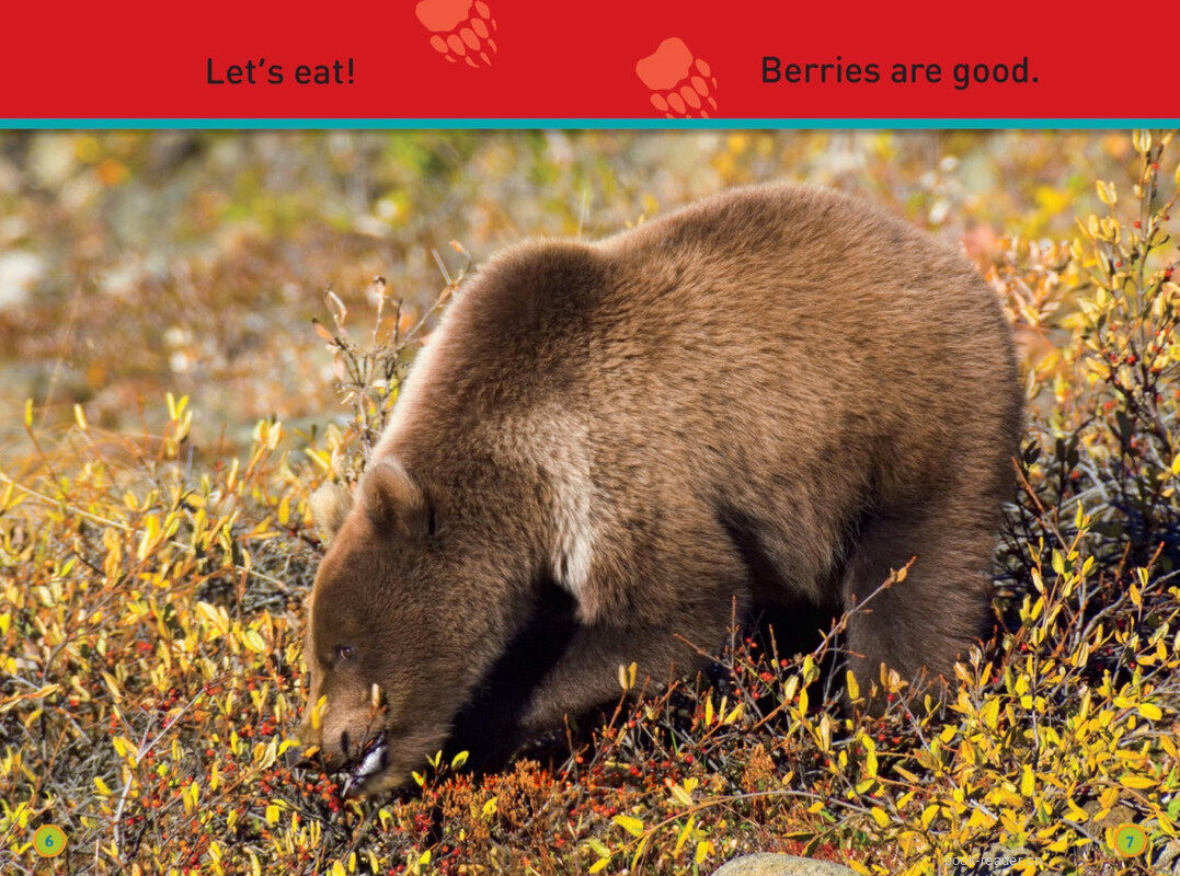 Sleep Bear绘本故事第5页