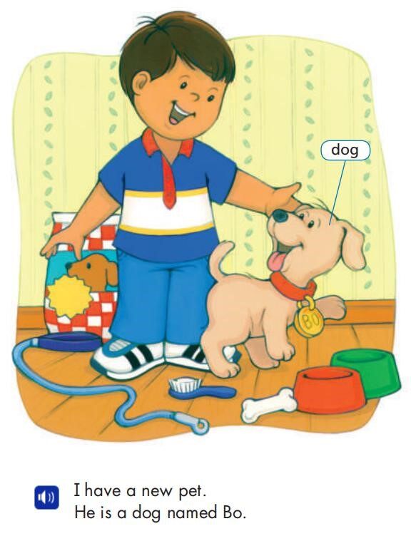 My New Pet绘本故事第2页