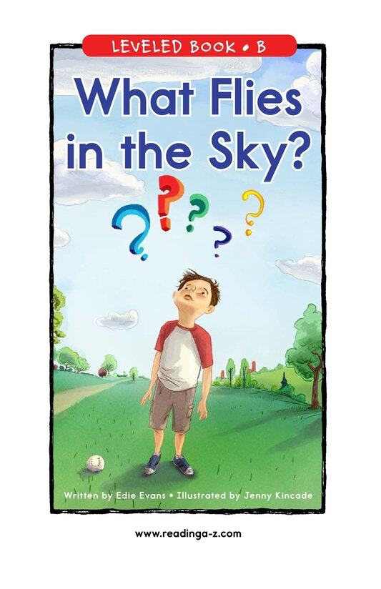 What Flies in the Sky绘本故事第2页