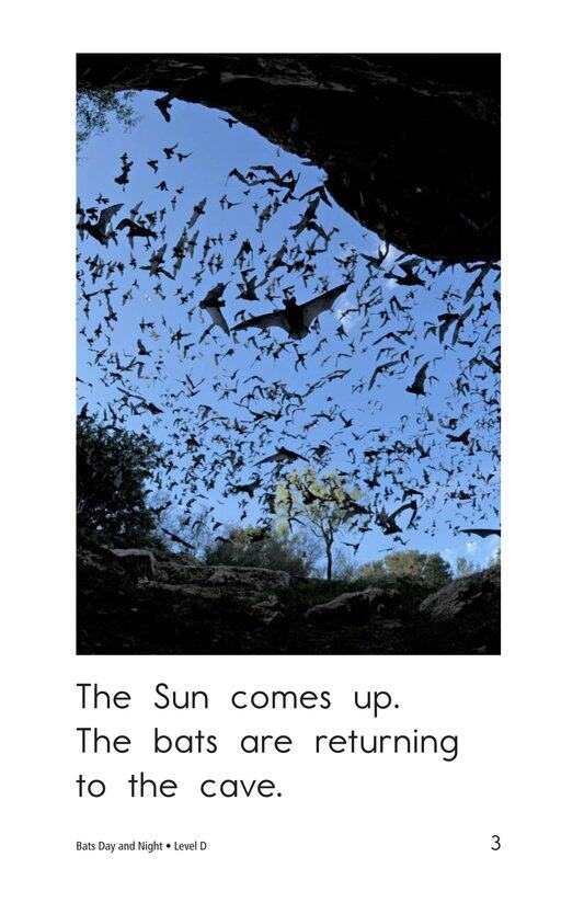 Bats Day and Night绘本故事第3页