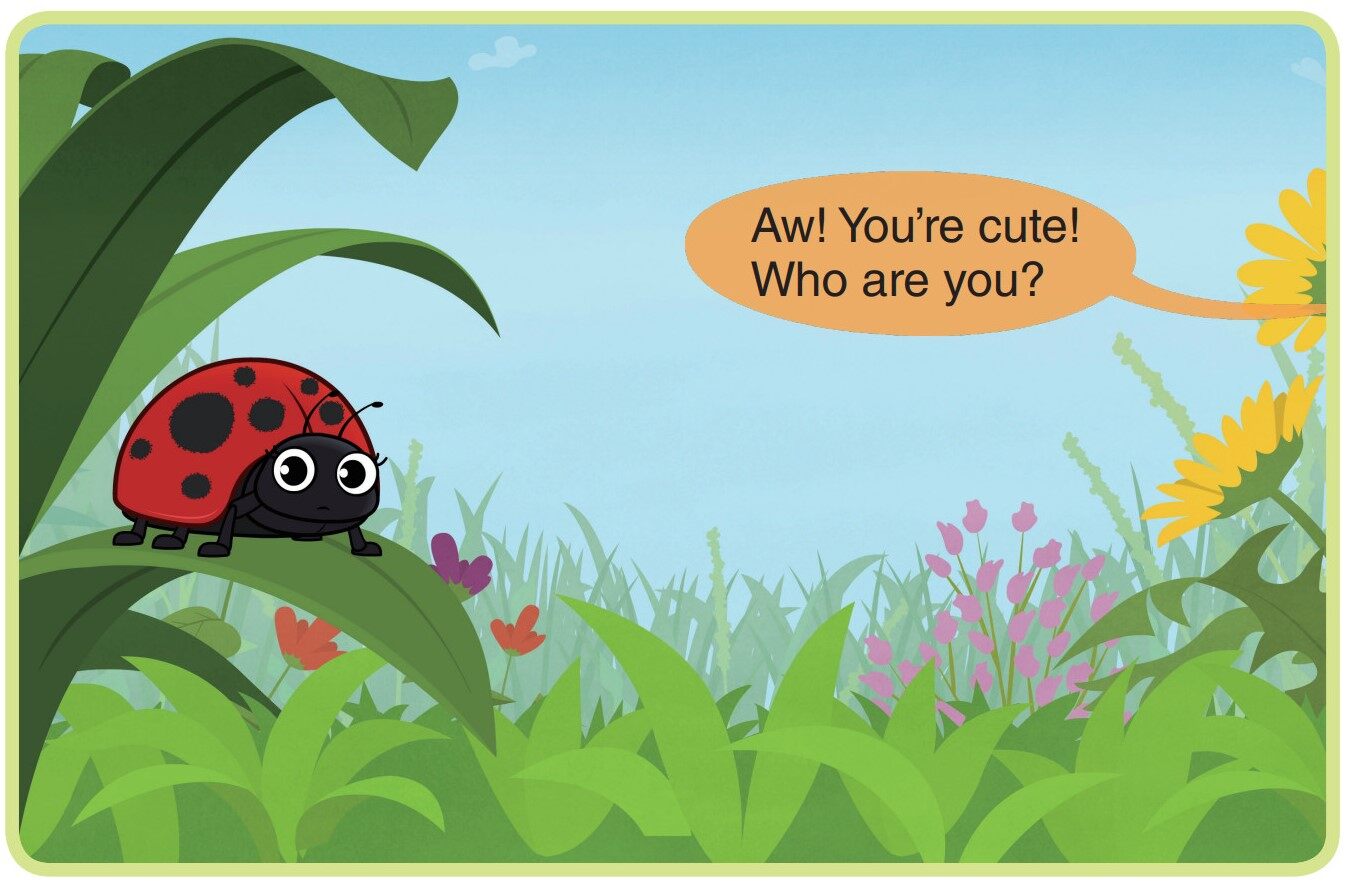 Ladybug绘本故事第2页