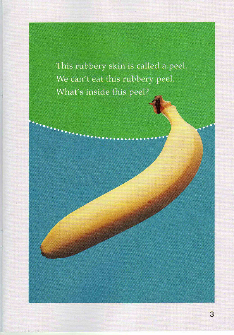 What's Inside绘本故事第4页