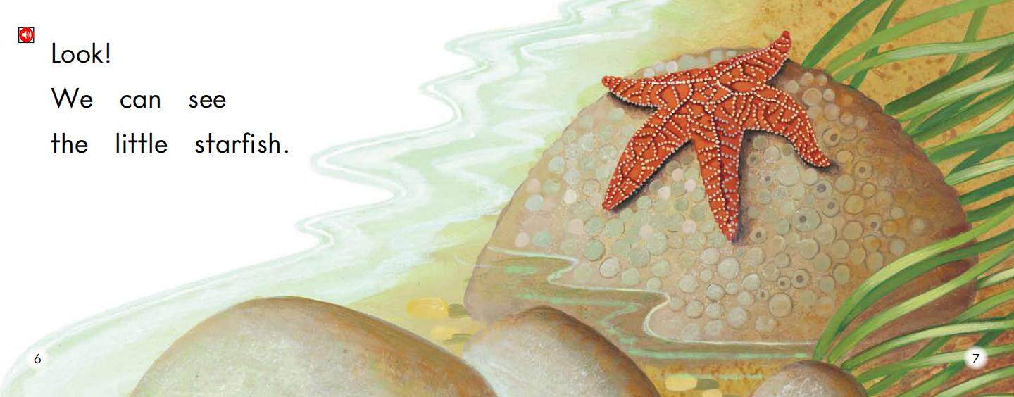 The Tide Pool绘本故事第5页