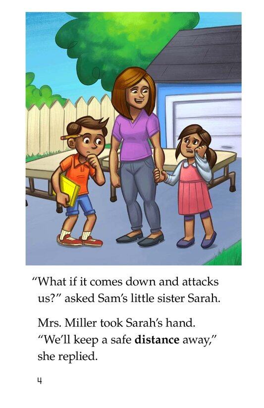 Brainstorm Bear绘本故事第4页