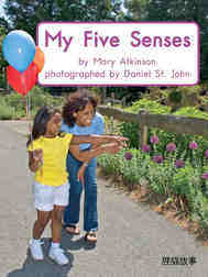 My five senses