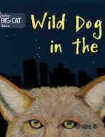 Wild dog in the city