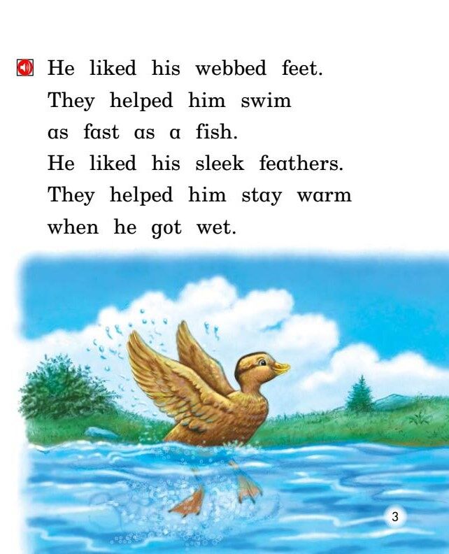 The Singing Duck绘本故事第4页