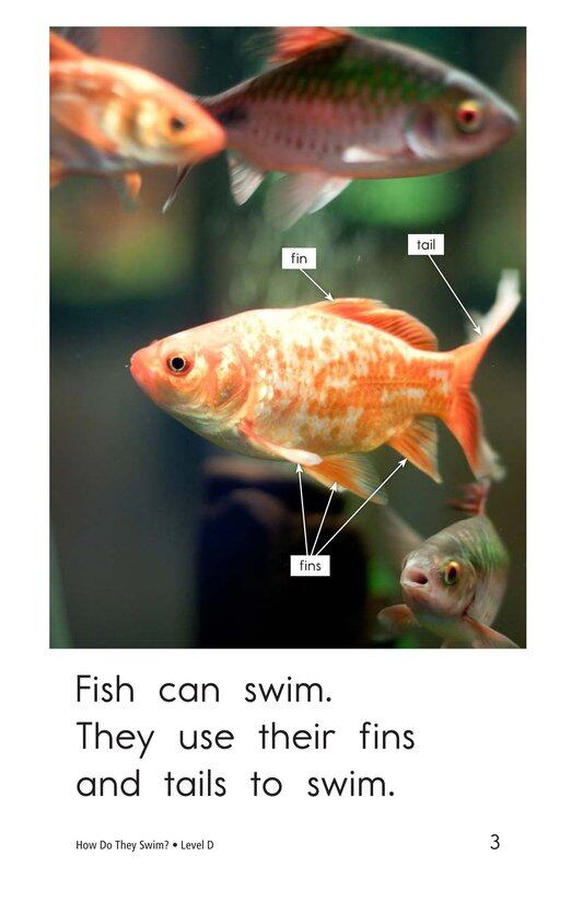 How Do They Swim绘本故事第3页