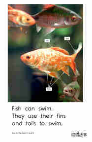 How Do They Swim绘本故事第3页