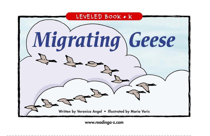 Migrating Geese绘本故事第2页
