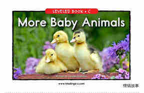 More Baby Animals