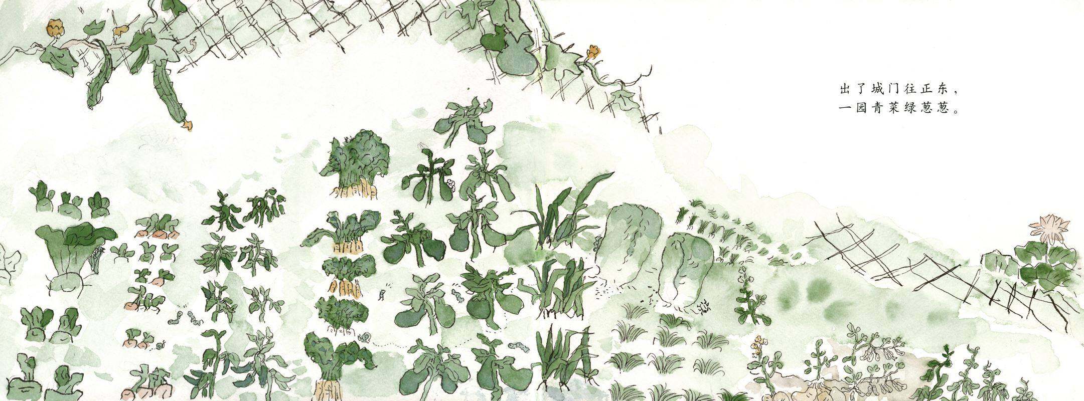 一园青菜成了精绘本故事第2页