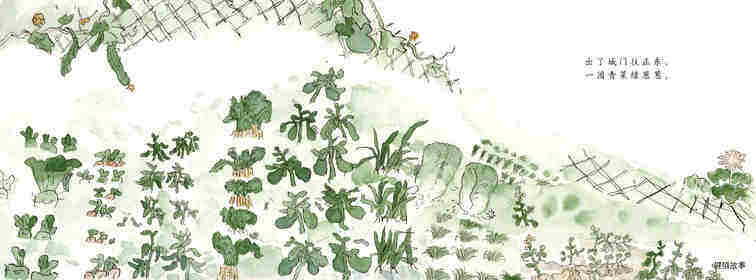一园青菜成了精绘本故事第2页