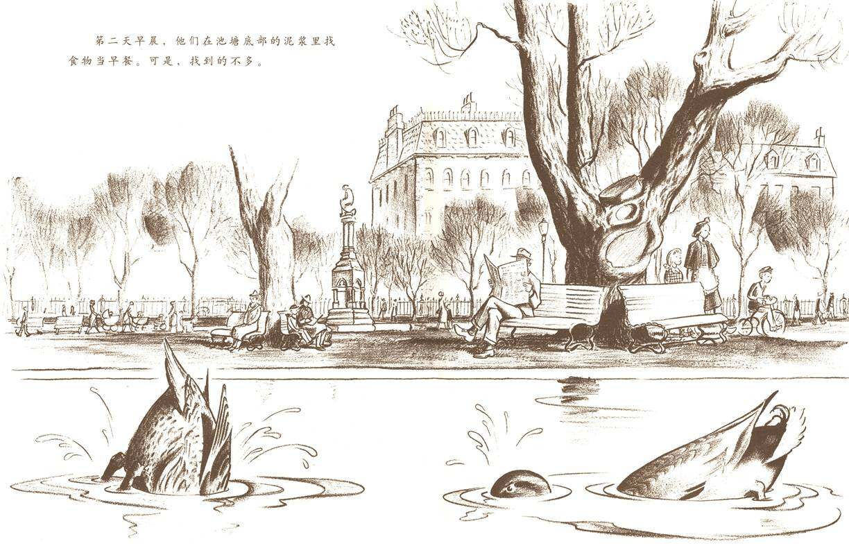 让路给小鸭子绘本故事第4页