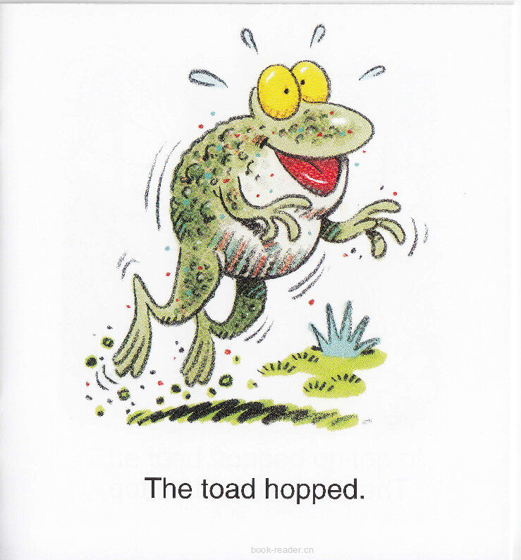 Toad's Lost Roast绘本故事第4页