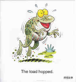 Toad's Lost Roast绘本故事第4页