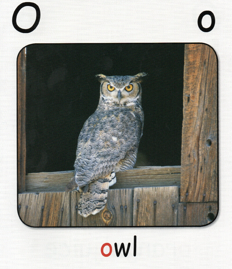 O绘本故事第3页