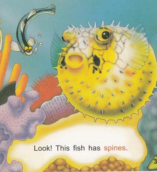 Look out绘本故事第4页