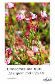 Cranberries绘本故事第5页