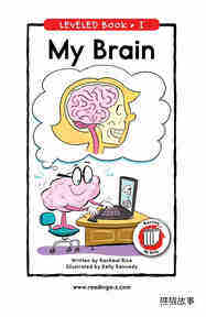 My Brain