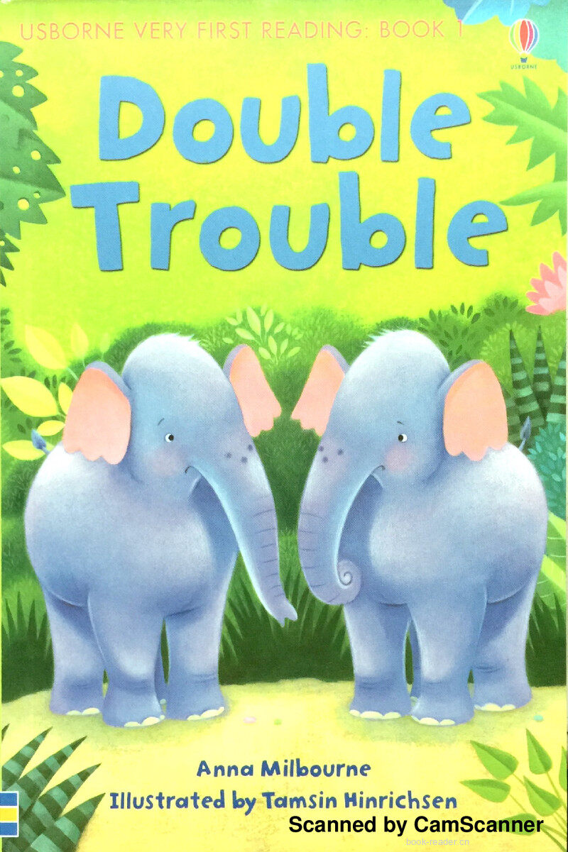 Double Trouble绘本故事第2页