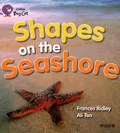 Shapes on the Seashore